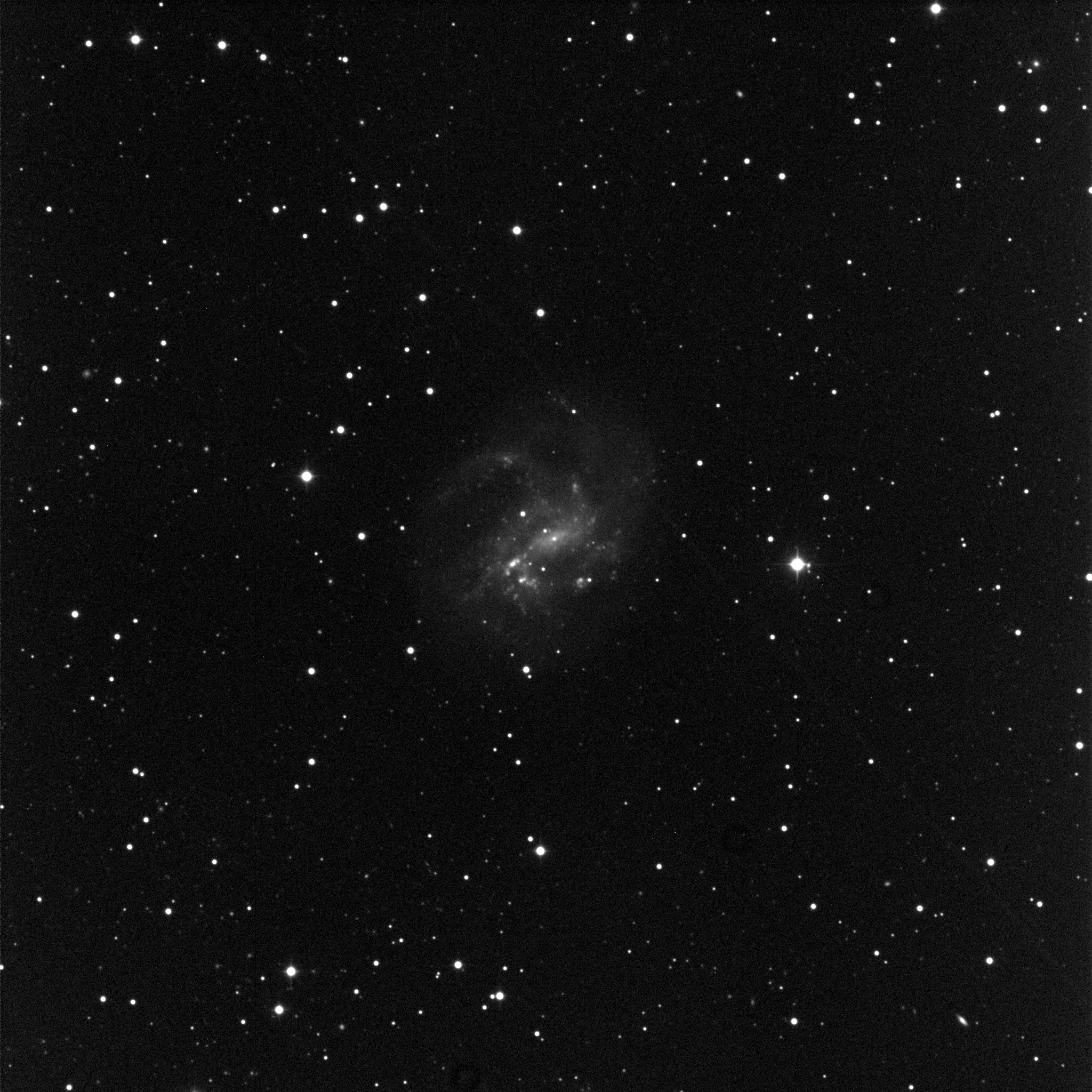 ngc4395-L45.jpg
